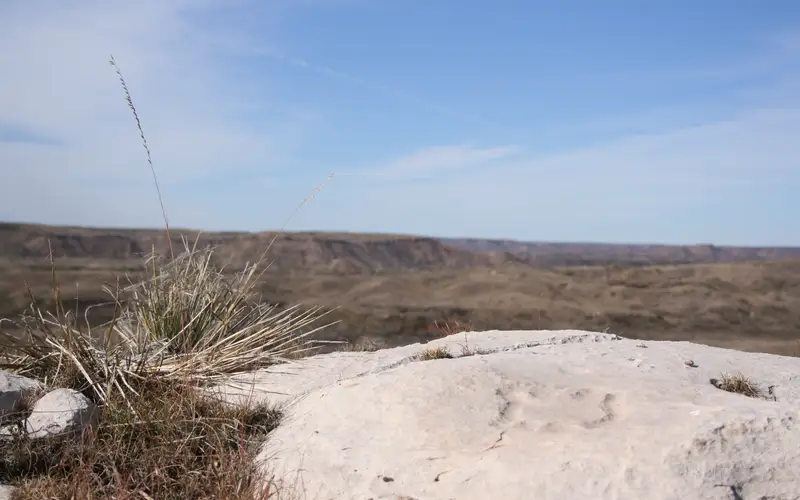 Turtle Petroglyph at Antelope Creek Village Site
