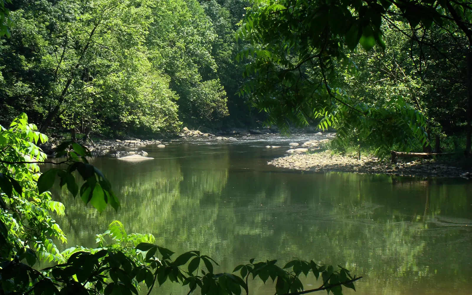 Bluestone River