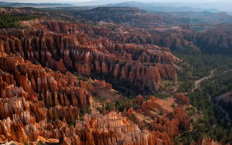 A red rock landscape and plateau forest glows with the morning sun