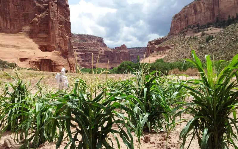 Farm in the canyon
