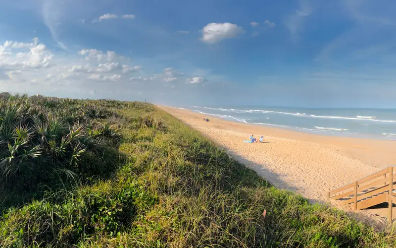 Dune plants, beach, and ocean.