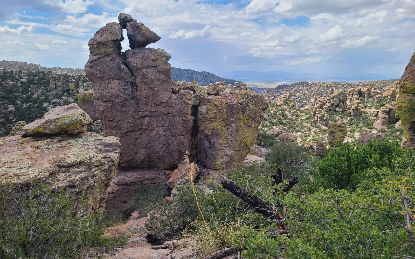 Many rock pinnacles with a valley and mountain range in background