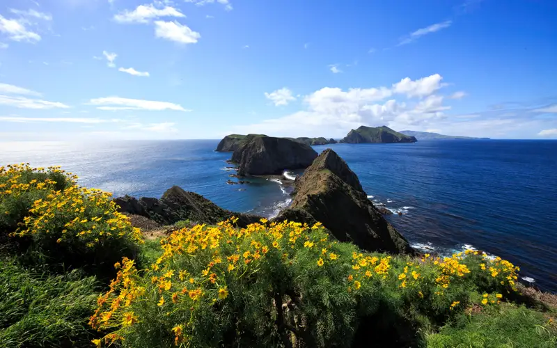 Steep, rugged ocean cliffs extending in an island chain.