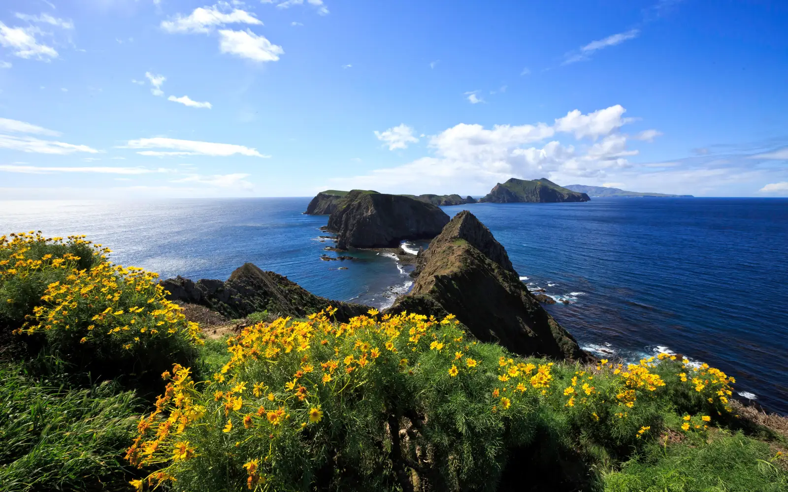 Steep, rugged ocean cliffs extending in an island chain.