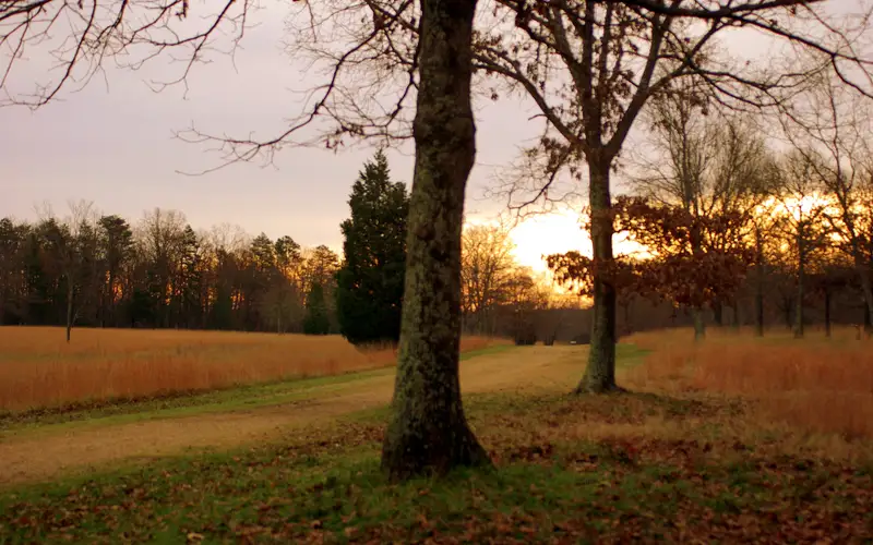 The sun is coming up on the battlefield in the direction that the Americans would have been facing.