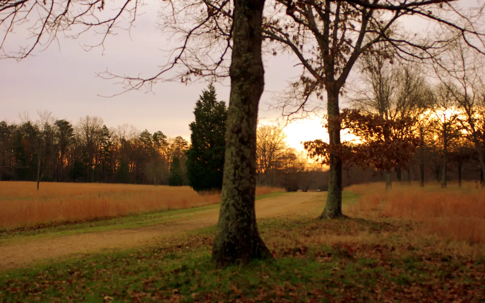 The sun is coming up on the battlefield in the direction that the Americans would have been facing.