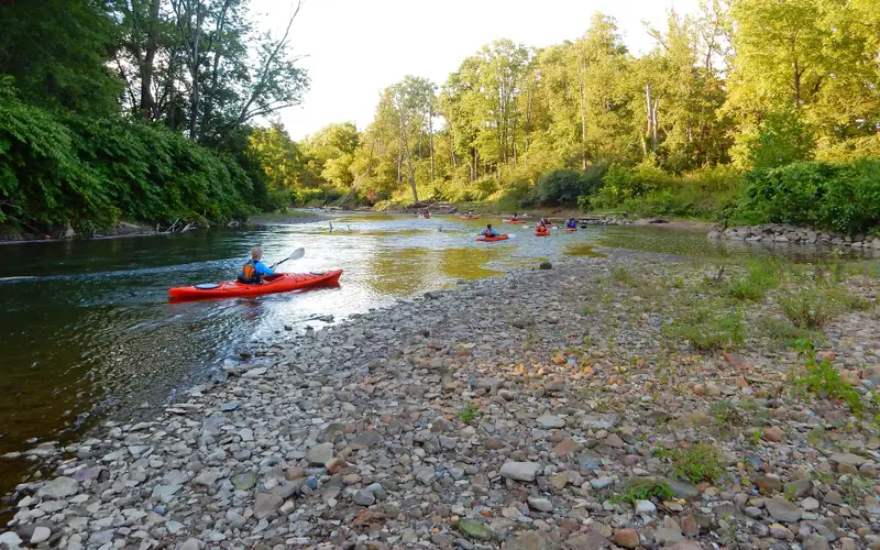 People in bright orange kayaks paddle around a bend in a river, past green trees and a rocky shore.