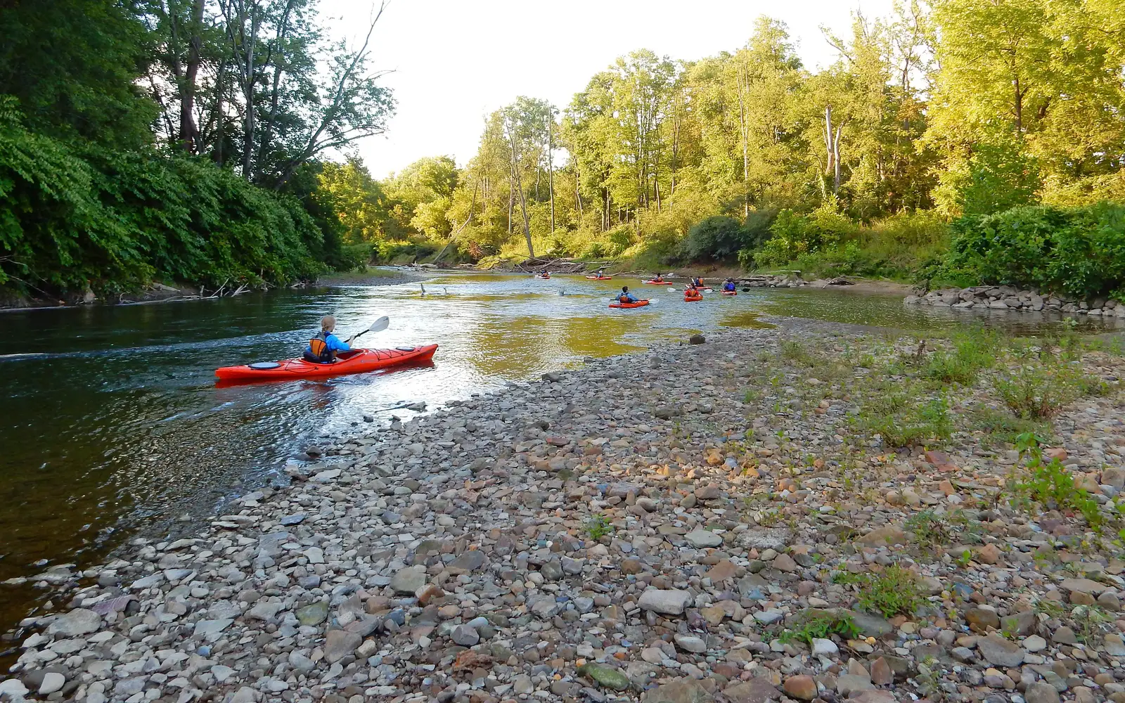 People in bright orange kayaks paddle around a bend in a river, past green trees and a rocky shore.