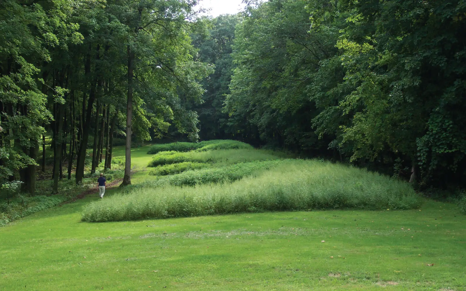 Bear Effigy Mounds with visitor walking nearby.