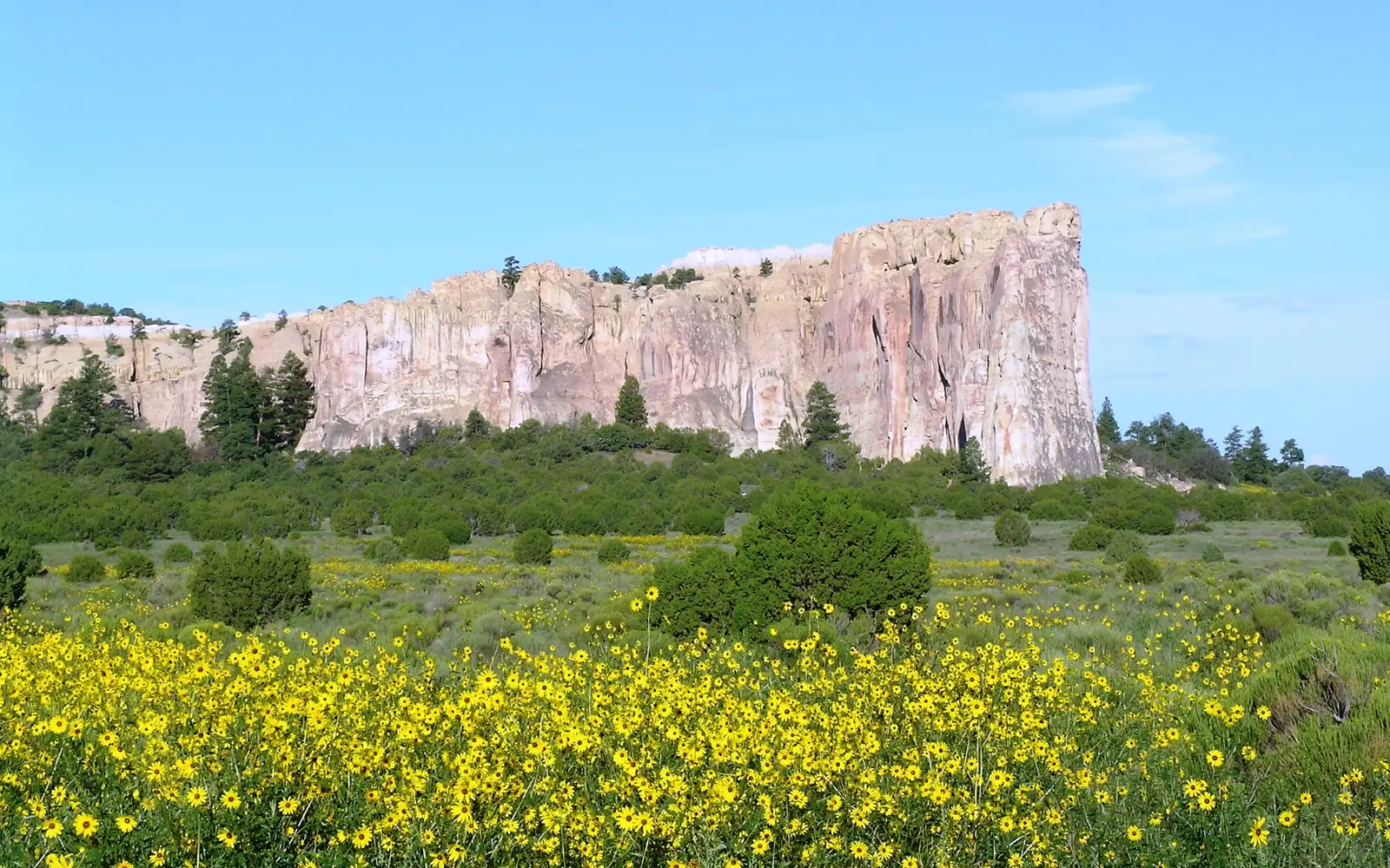 El Morro with Sunflowers