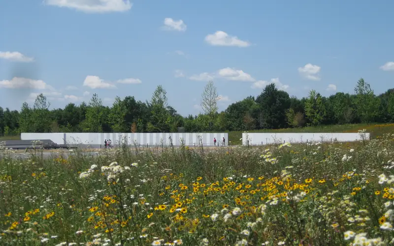 Field of white and yellow wildflowers with a white wall in the distance and blue sky above.