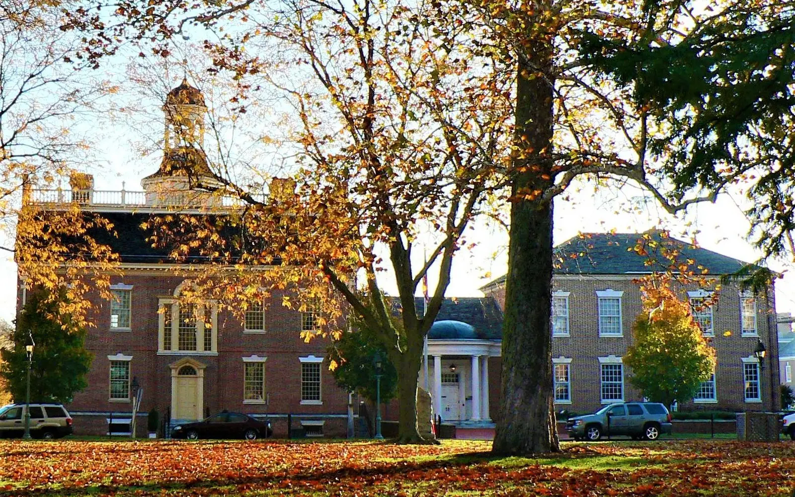 Red, yellow, and green leaves lay on the grass in front of a colonial building.