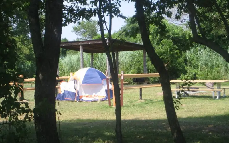 Tent at Floyd Bennett Field campsite in Gateway's Jamaica Bay unit.