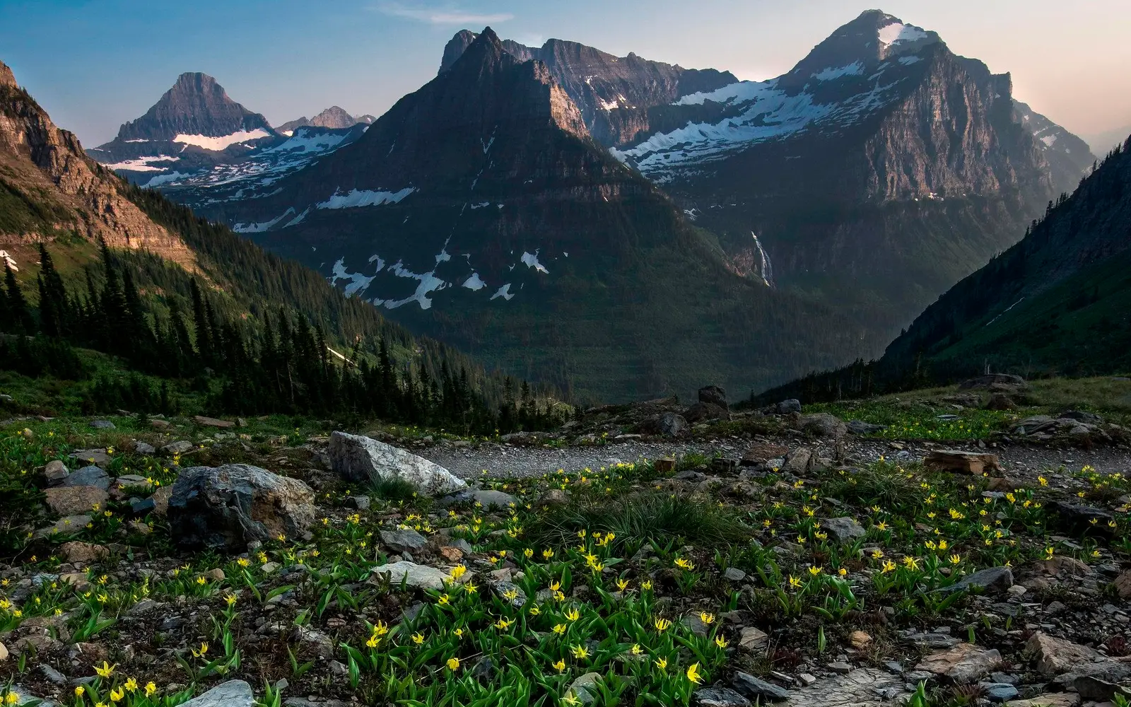 Large mountains dotted with snow loom above a rocky meadow filled with yellow flowers.
