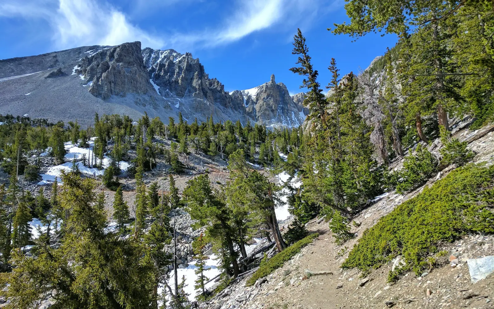 blue sky with green trees in mountain cirque