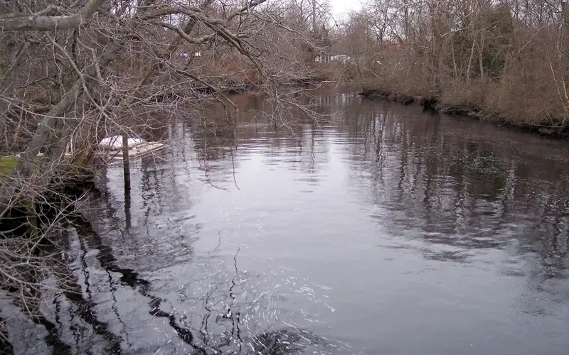 Still river in the winter with leafless trees on either side