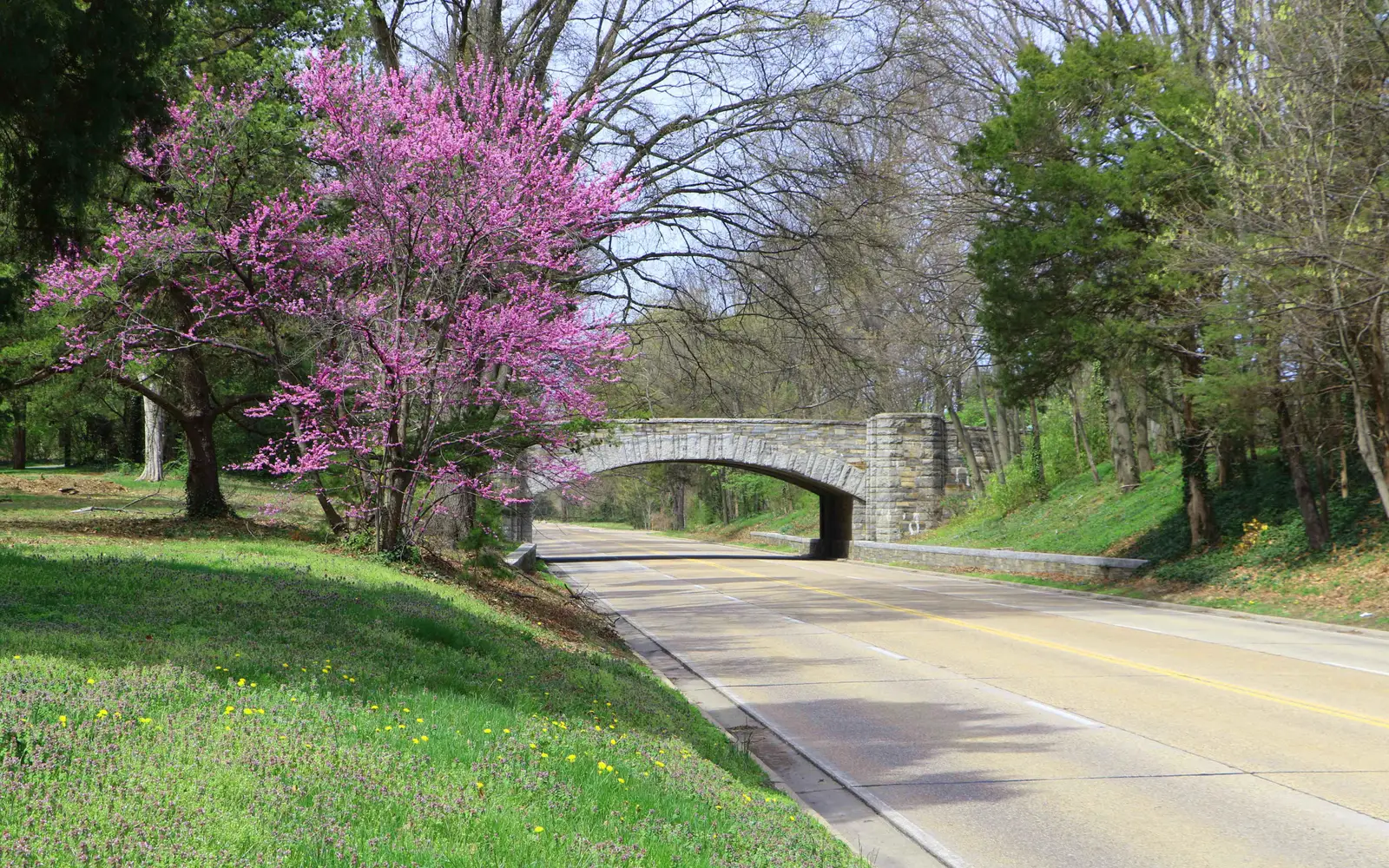 Stone Bridge Along the George Washington Memorial Parkway
