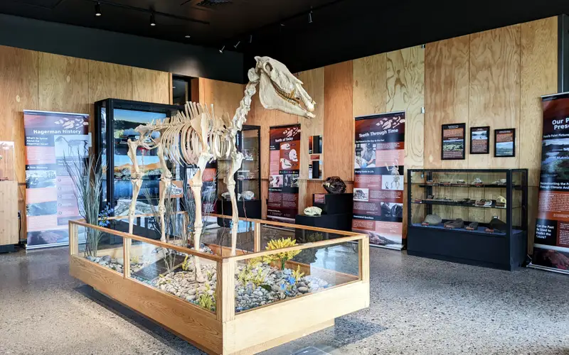 A fossil horse stands in the center of a room filled with posters and display cases