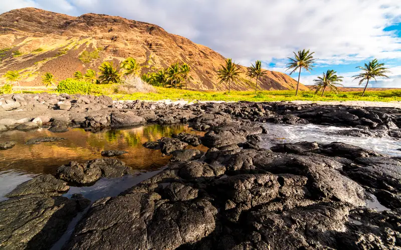 Rocky coastline with palm trees and a cliff beyon