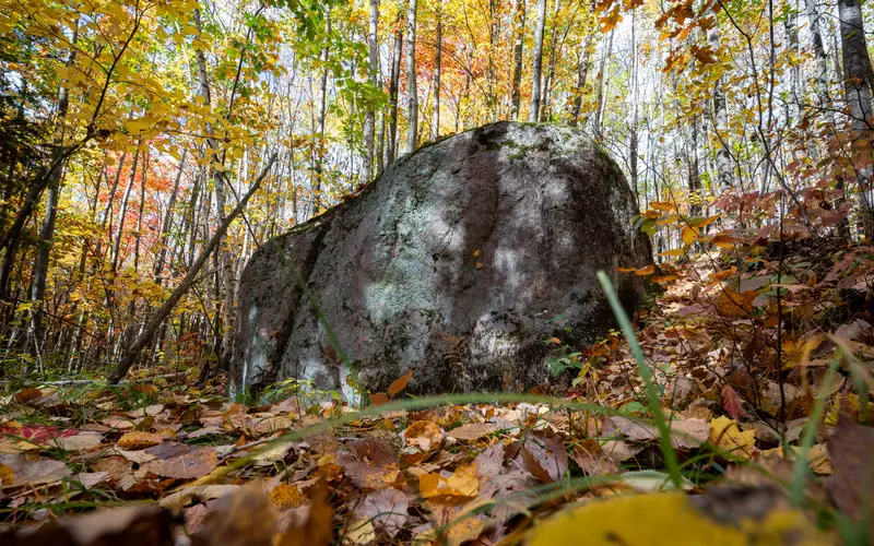 Photograph of a large glacial erratic boulder in autumn with trees covered in colorful foliage and f