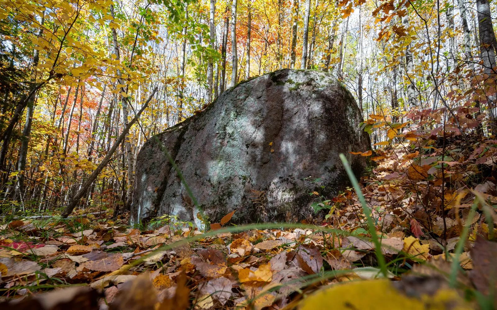Photograph of a large glacial erratic boulder in autumn with trees covered in colorful foliage and f