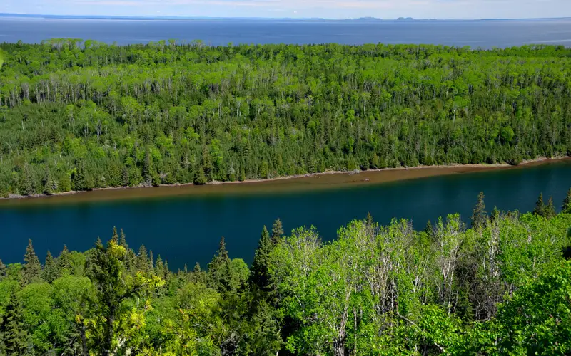 View from above the trees looking down at Duncan Bay Narrows, trees, Lake Superior, and Canada.