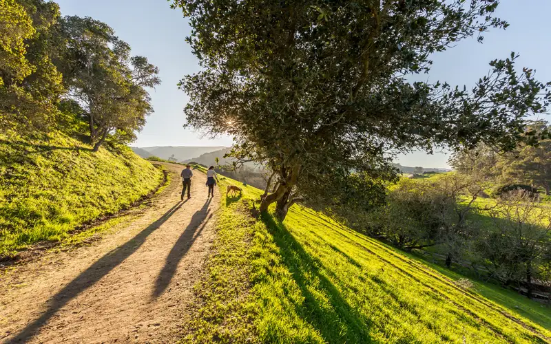 Two people and a dog walk down a dirt trail that cuts into a grassy hill with large trees