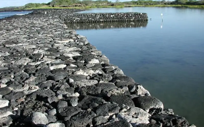 The rehabilitation of Kaloko fishpond started in 1998 and still continues today....