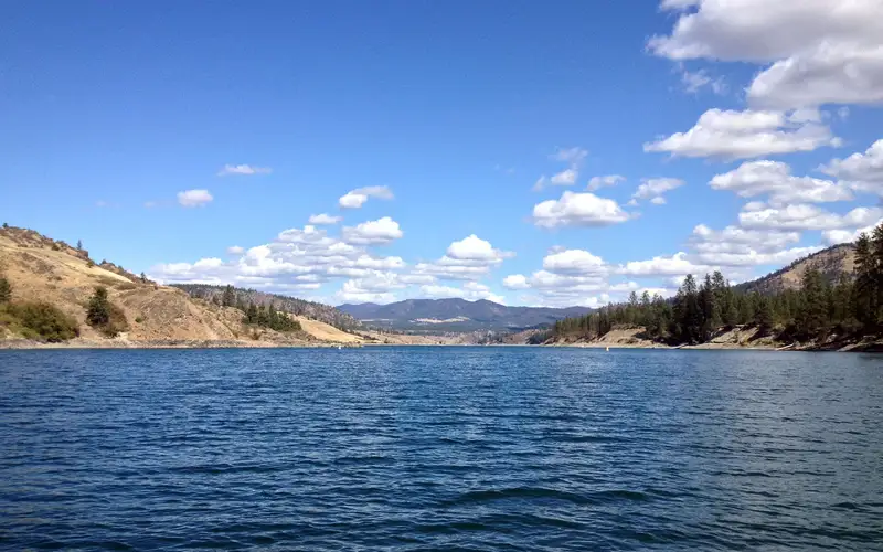 Looking down Lake Roosevelt with clear skies and treed shorelines.