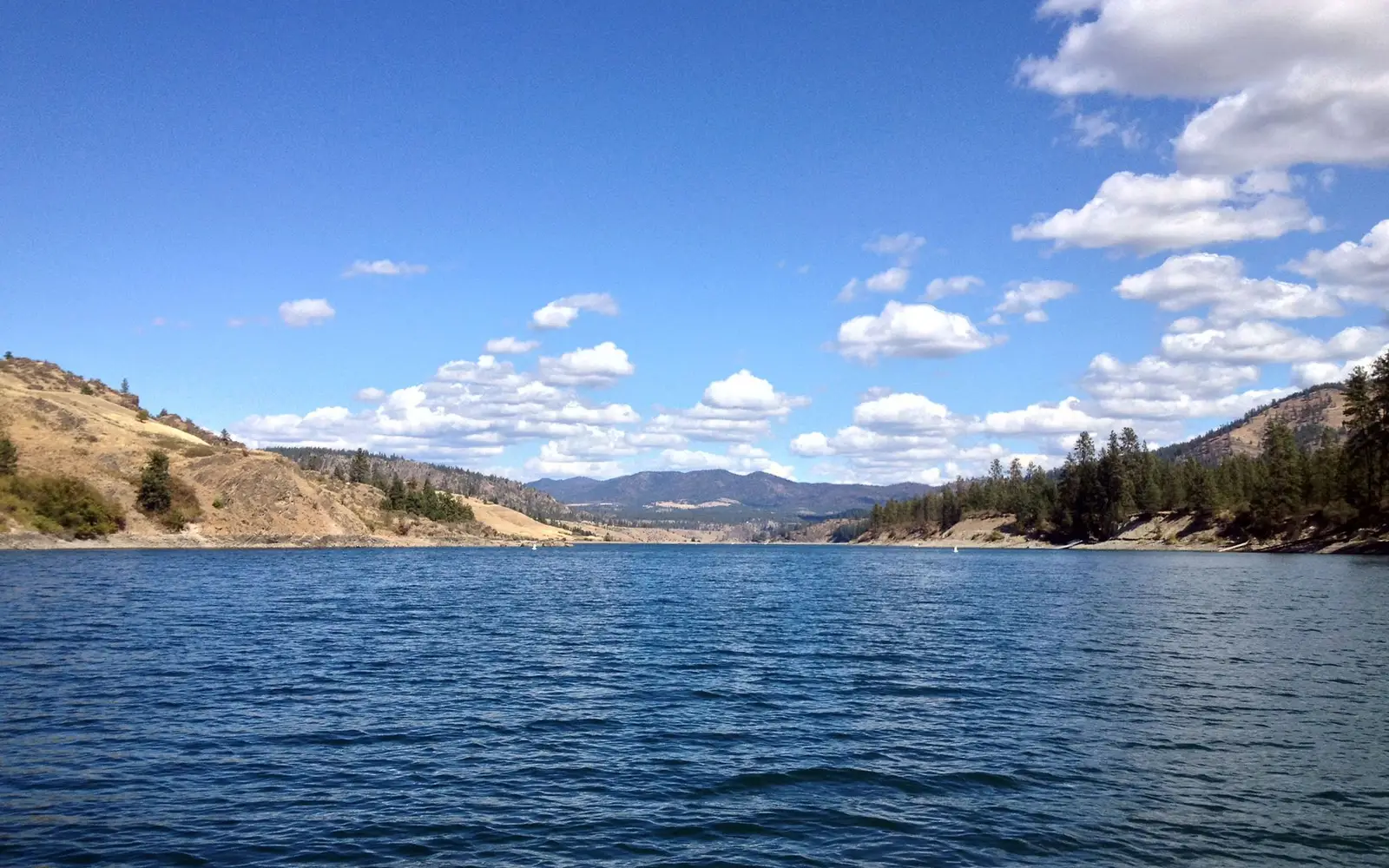 Looking down Lake Roosevelt with clear skies and treed shorelines.