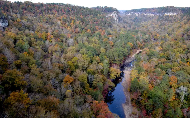 Fall Season in the Canyon