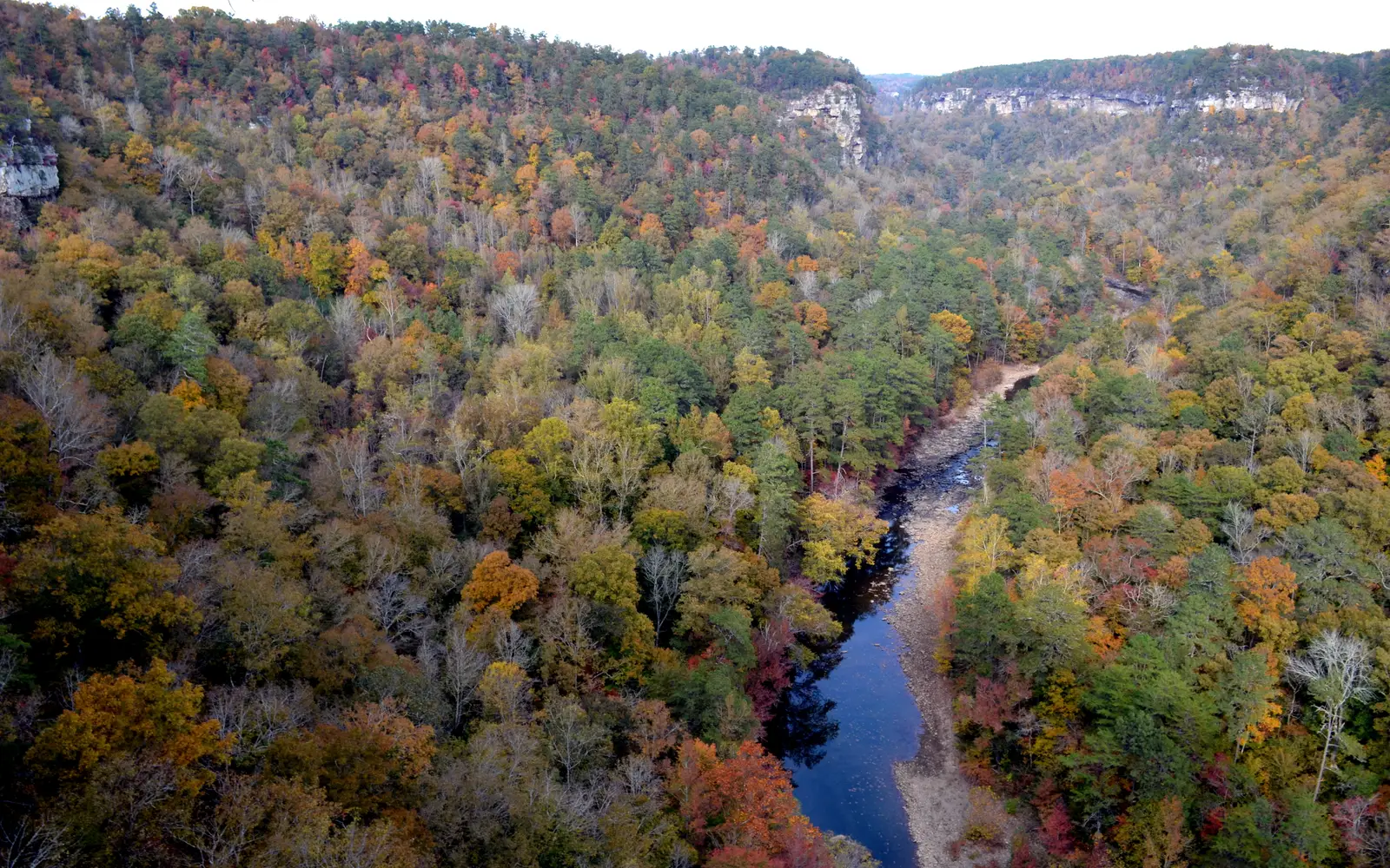 Fall Season in the Canyon