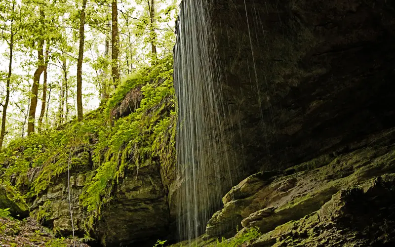 A cascade of water pours over a rock ledge. Green foliage is in the background.