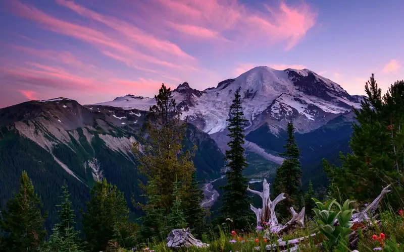 A purple and pink streaked sky over a mountain peak and forested valley.