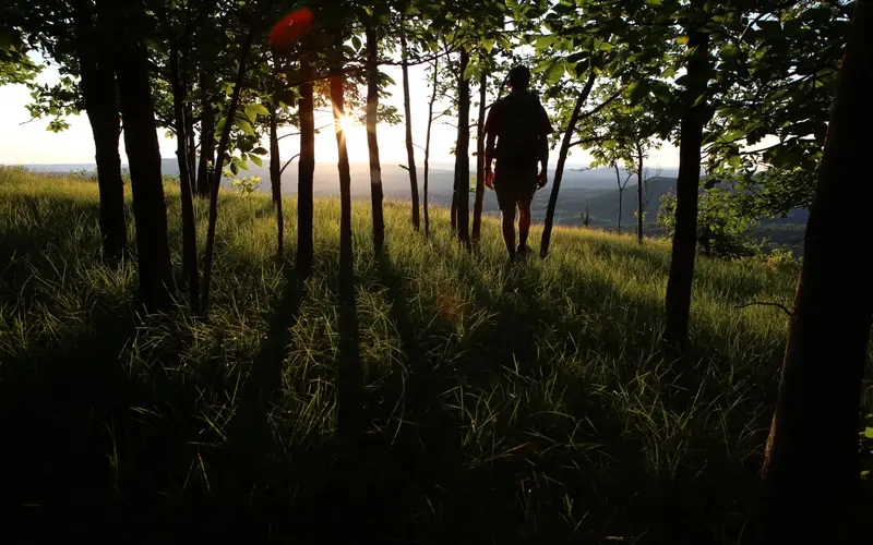 Hiker in trees at overlook with sunset in background