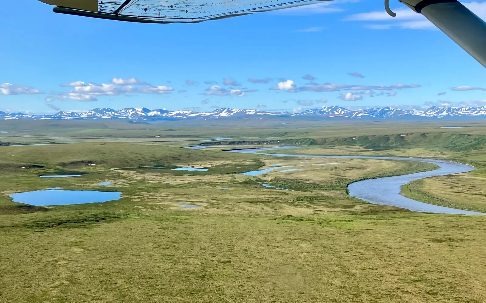Noatak River cuts through a green tundra landscape with distant mountains.