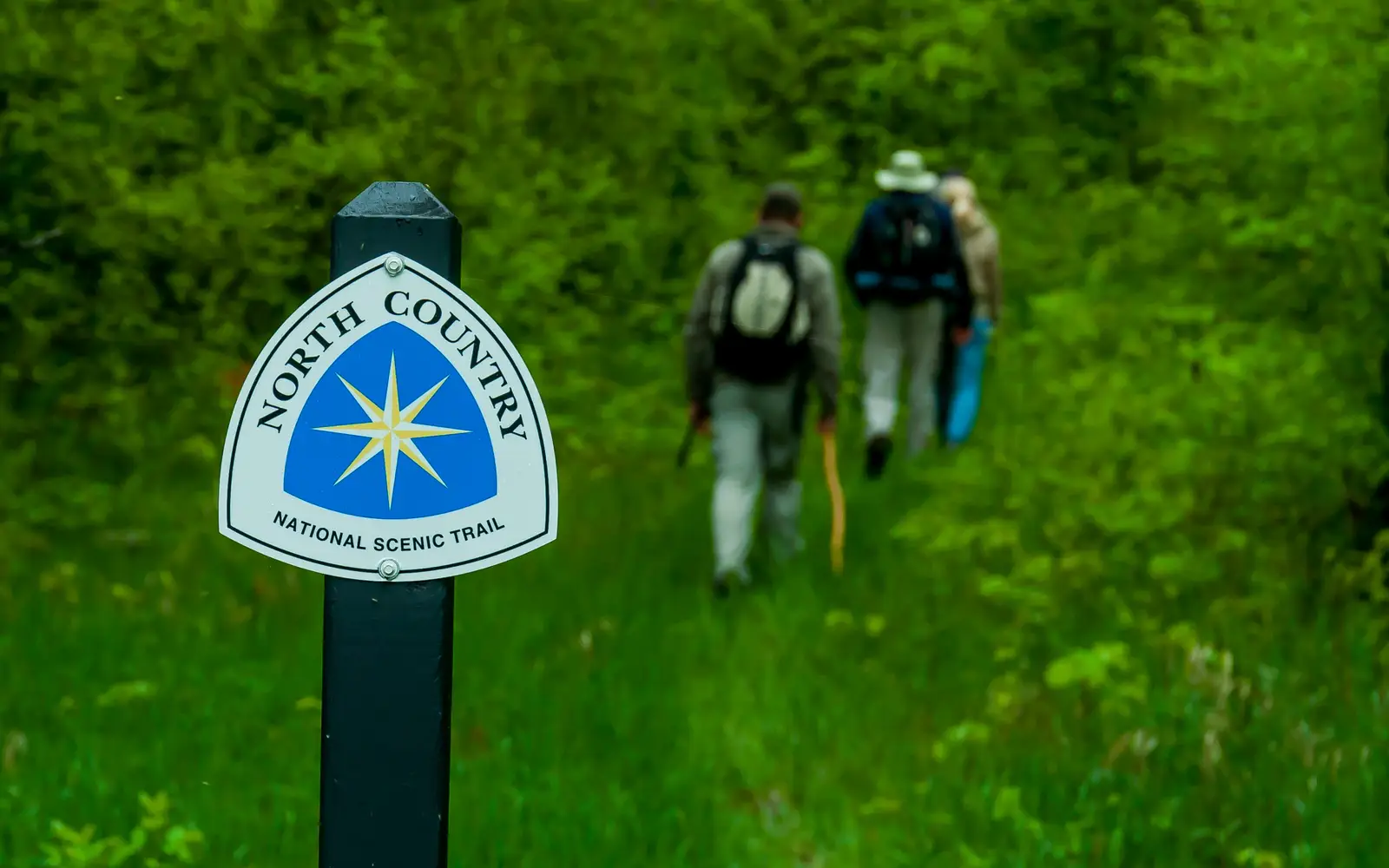 Hiking on trail