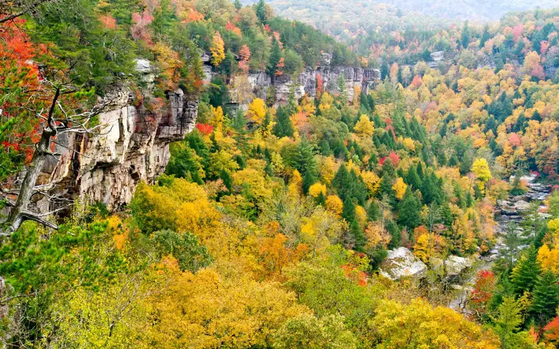 Obed in Fall