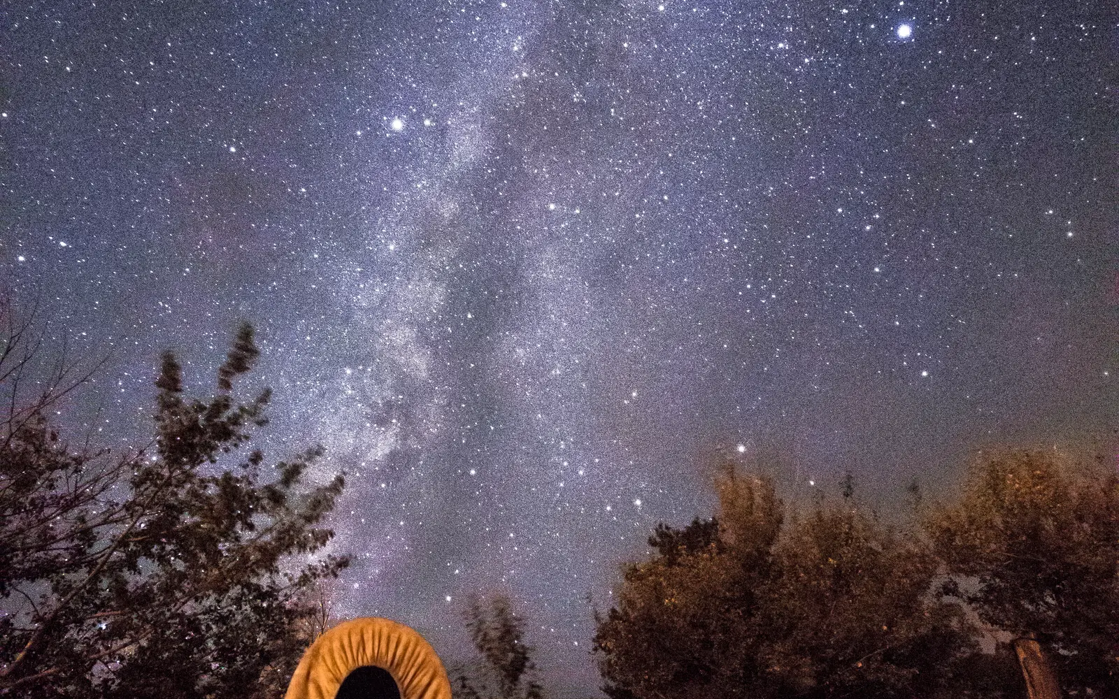 A glittering sky of stars glows above a historic covered wagon.