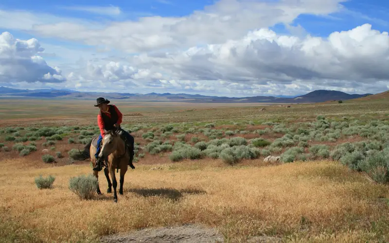 A rider in a red vest on a horse in a grassy patch surrounded by sagebrush with clouds in the sky.