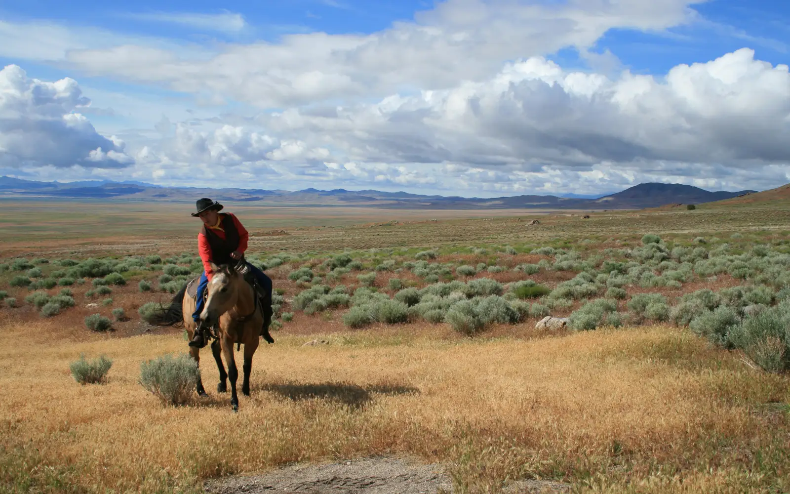 A rider in a red vest on a horse in a grassy patch surrounded by sagebrush with clouds in the sky.