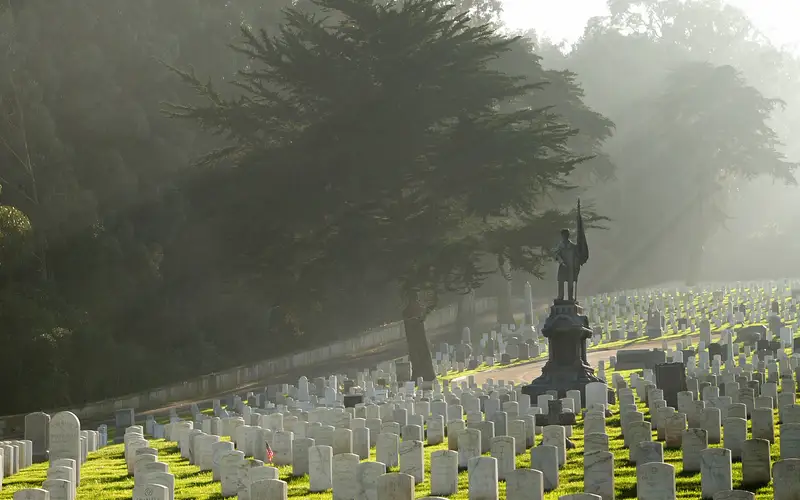 Rows of grave markers in the green grass of the cemetery as light shafts through misty trees.