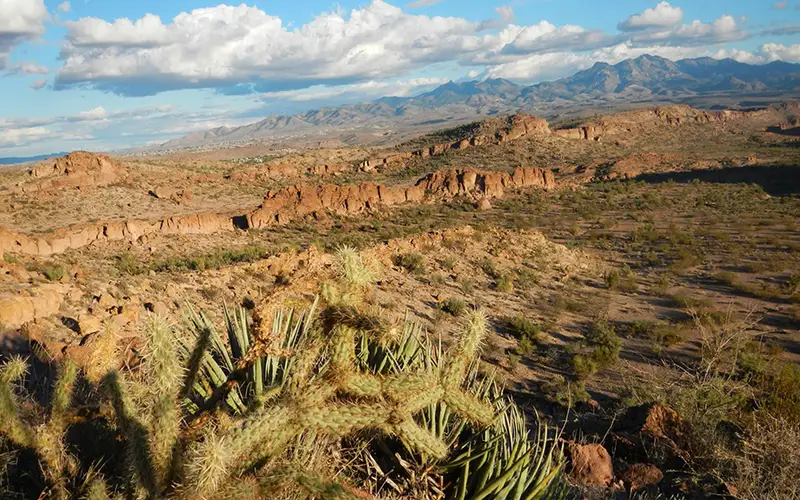 View of the Hualapai Mountains from the Cerbat Foothills