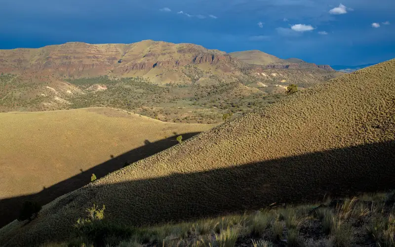 View of Sutton Mountain WSA at low light