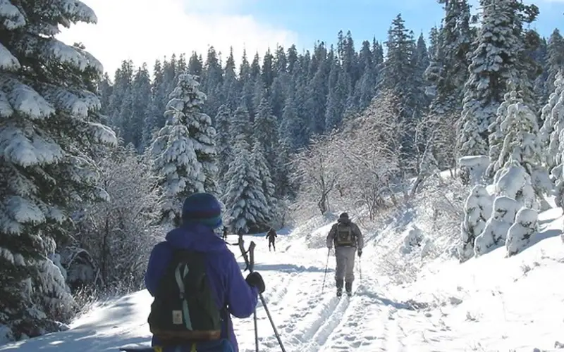 Skiing after the storm.