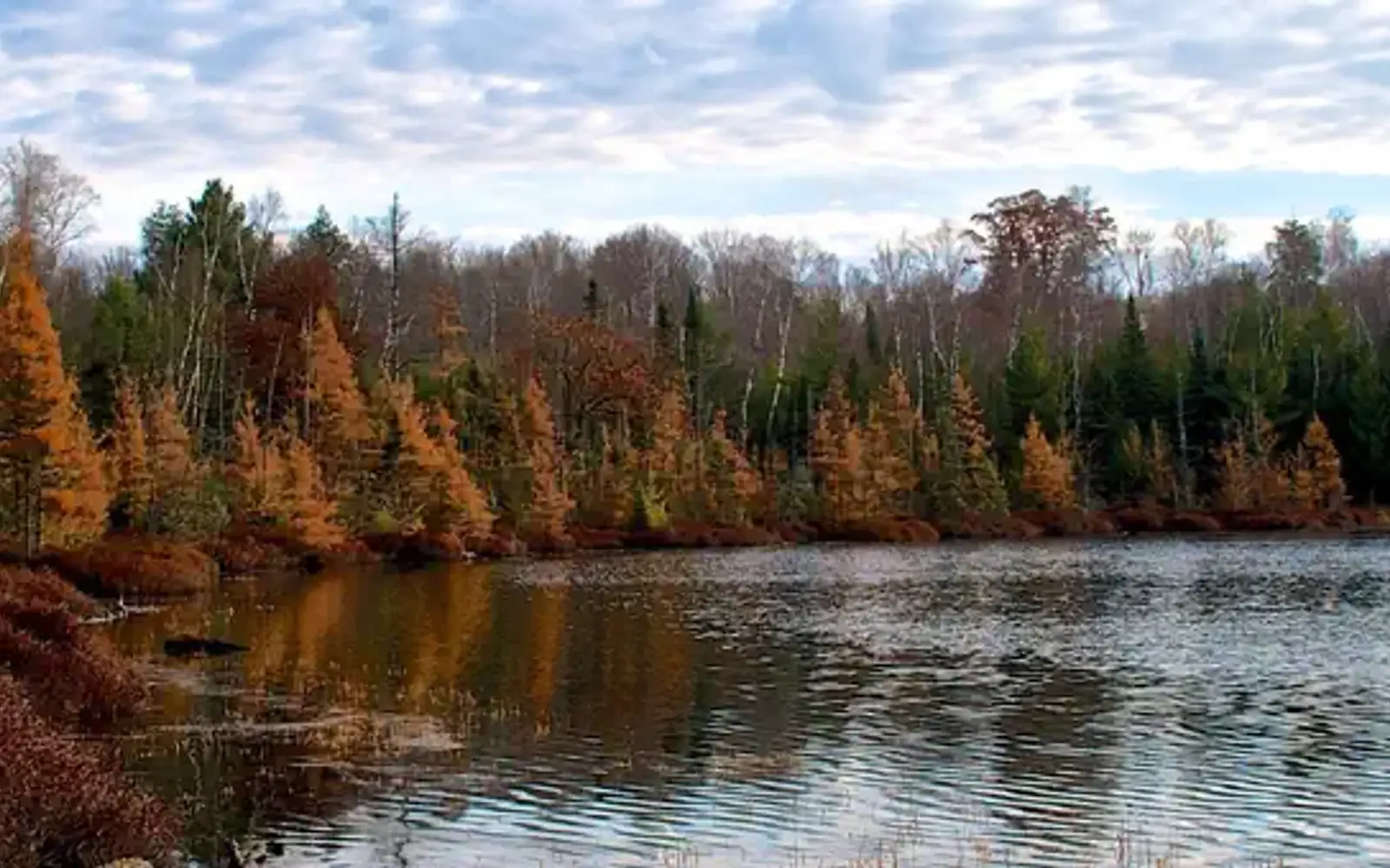 Chequamegon-Nicolet National Forest