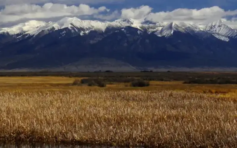 Alamosa National Wildlife Refuge