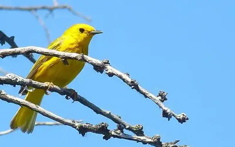 Audubon National Wildlife Refuge