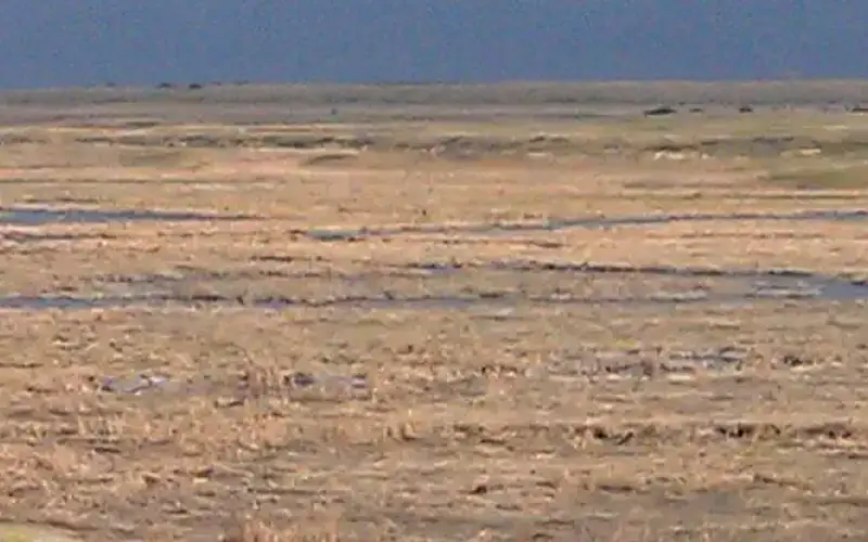 Big Stone National Wildlife Refuge