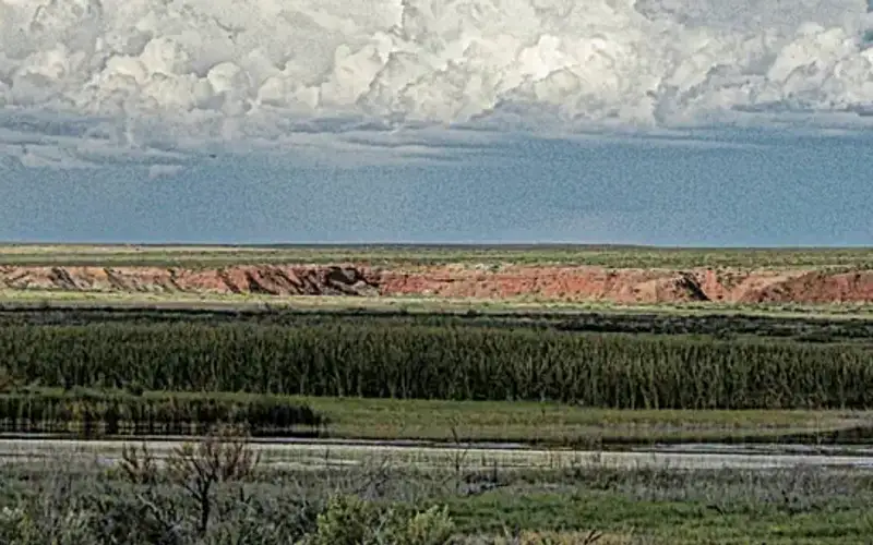 Bitter Lake National Wildlife Refuge